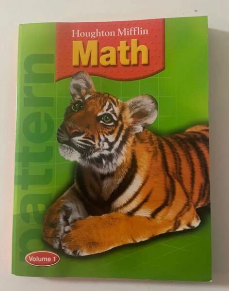 Houghton Mifflin Mathematics volume 1