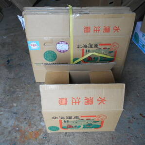 中古 段ボール箱 10箱セット 37cm×26.5cm×22.5cmの画像1