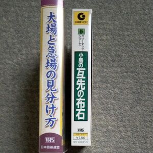 囲碁 互先の布石、大場と急場の見分け方 2巻 VHS　