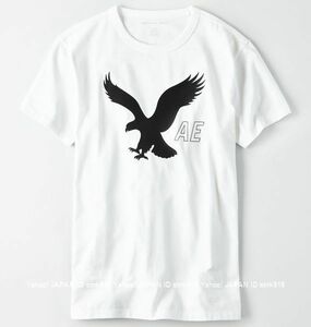〓アメリカンイーグル/US M/AE Eagle Graphic Tシャツ/White