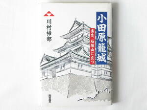 小田原籠城 秀吉、石垣山に立つ 川村掃部 南雲堂 1590年、関白豊臣秀吉率いる関東征伐三十万の大軍を迎え討つ関東衆総動員の北条軍十万。