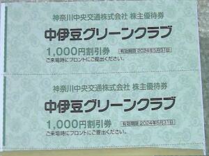 中伊豆グリーンクラブ 優待2枚 送料60円