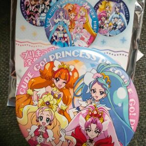 プリキュアオールスターズF Go!プリンセスプリキュア 缶バッジ 