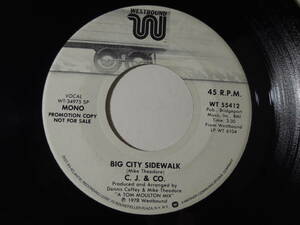 C.J.& CO.・Big City Sidewalk　US promo. 7”