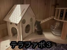 小動物用ケージ 飼育 ケージ 家庭用 大型 ハムスター ゲージ モルモット ハムスター ゲージ 木製 組立式 防腐材 天然杉材_画像2