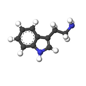 トリプタミン(遊離塩基) 99% 50g 3-(アミノエチル)インドール 有機化合物標本 化学薬品 送料無料