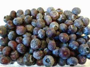 2023 year production freezing blueberry Saitama prefecture Kawagoe city production 1kg processing for jam etc. 