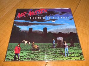 【輸入盤CD】Mr. Mister / Mr. ミスター / Welcome To The Real World / ウェルカム・トゥ・ザ・リアル・ワールド