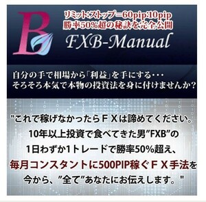 FXB-Manual 2014（PDF72p/動画46/特典付き）+ FXB-Manual 熱血編（前編・後編動画/Q&A動画）フルセット