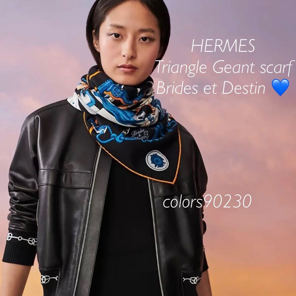 HERMES/エルメス Couvertures et Tenues de Jour Bandana 馬着