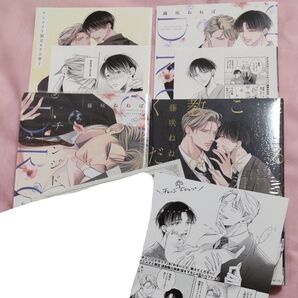 チェンジドロップ わるいこと教えてください 藤崎ねねば(応募券付 アニメイト特典