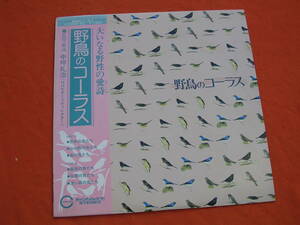  LP・帯◇野鳥のコーラス・大いなる野性の愛詩 ・中坪礼治