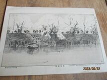 明治石版刷画　東京日本堂製　墨堤晩桜隅田川の流れに映じた絶景　L856_画像2