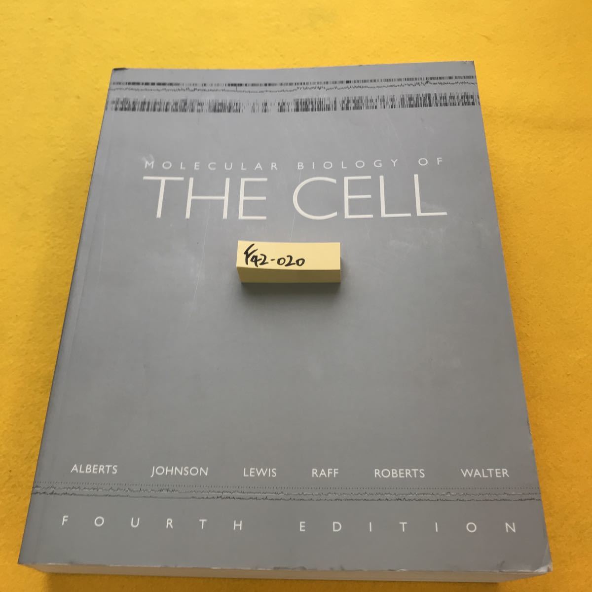 2023年最新】ヤフオク! -molecular biology of the cellの中古品・新品