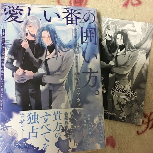 新品『愛しい番の囲い方。半端者の僕は最強の竜に愛されているようです』飛鷹 サカミヤアカザ ボーイズラブ 特典 イラストカード