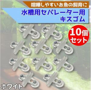 【キスゴム 10個セット 白】水槽 仕切り 板 セパレーター フィルター 隔離板