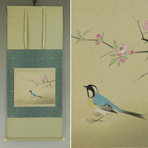 Art hand Auction [真品] 森森明 [木偶上的小鸟] ◆绢书◆合盒◆挂轴 t04060, 绘画, 日本画, 花鸟, 野生动物