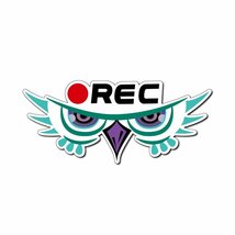 (反射) ドラレコふくろうステッカー REC大 ミント ドライブレコーダー 録画 記録 車 REC ステッカー 安全運転 煽り防止_画像1