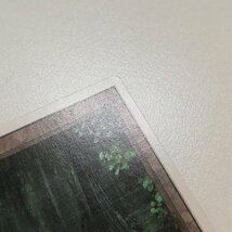 sB325s [人気] MTG Bayou リバイズド 3ED 土地 R レア イタリア語版_画像6