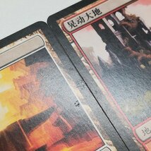 sB412o [まとめ] MTG ギルド門侵犯 GTC 土地 R レア 神無き祭殿 聖なる鋳造所 踏み鳴らされる地 湿った墓 繁殖池 計5枚 中国語版_画像9