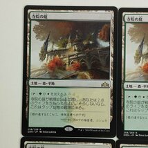 sC619o [人気] MTG 寺院の庭 Temple Garden ラヴニカのギルド GRN 土地 R レア 日本語版 計4枚_画像3