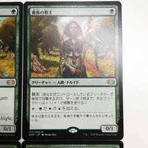 sB536o [人気] MTG 貴族の教主 Noble Hierarch ダブルマスターズ 2XM 緑 R レア 英語版 1枚 日本語版 3枚 計4枚_画像4