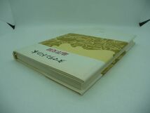 タマリンドの木 ★ 池澤夏樹 ◆ 恋愛小説 人は結局は自分のために愛するのかもしれない 自分以外の誰にも愛しようのない相手を選んで ◎_画像3