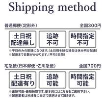 大人気 ダイハツ タントエグゼ L455S L465S Runup LEDヘッドライト H4 Hi/Lo 車検対応 ホワイト 6000K 保証付き HIDより長寿命 簡単交換_画像6