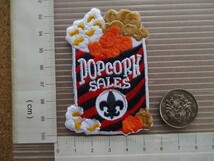 00s ボーイスカウト ポップコーン キャンプ ビンテージ刺繍ワッペン/ ガールスカウト グッズ カスタム パッチBOY SCOUTアメリカ_画像7