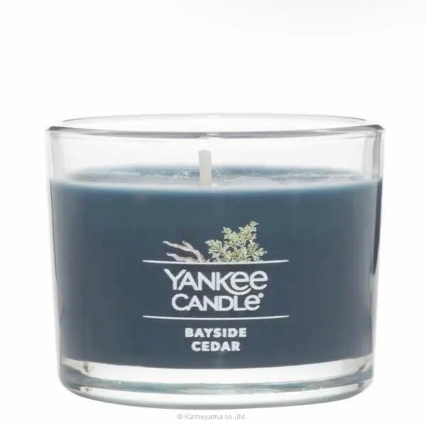 YANKEE CANDLEシグネチャータンブラーミニ ベイサイドシダー　アロマ ヤンキーキャンドル ムスク シダーウッド