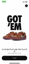NIKE SB DUNK LOW PRO PRM MYSTIC RED AND ROSEWOOD DV5429-601 US8.5/26.5cm 2023/8/28発売 国内正規店購入 新品,黒タグ付 ナイキ ダンク_画像1