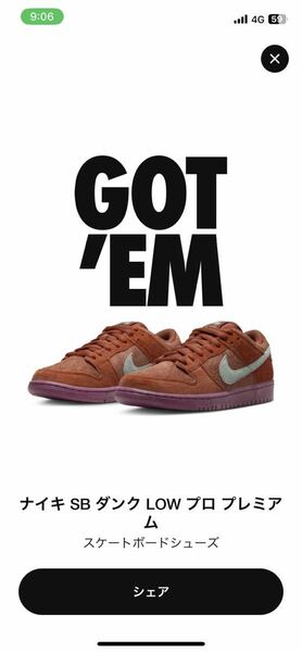 NIKE SB DUNK LOW PRO PRM MYSTIC RED AND ROSEWOOD DV5429-601 US8.5/26.5cm 2023/8/28発売 国内正規店購入 新品,黒タグ付 ナイキ ダンク