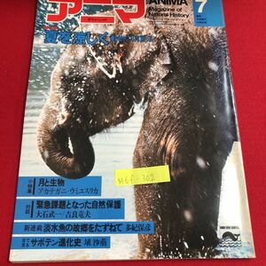 M6f-302 アニマ 野生からの声 7 特集 夏を涼しく 動物の消夏法 小特集 月と生物 アカテガニ・ウミユスリカ 昭和57年6月14日発行