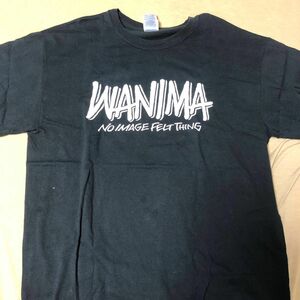 貴重　WANIMA Tシャツ　ピザオブデス