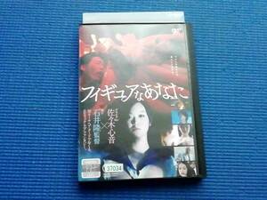 DVD　フィギュアなあなた 石井隆 佐々木心音 竹中直人 風間ルミ 桜木梨奈 伊藤洋三郎 間宮夕貴 壇蜜 風間ルミ 柄本佑