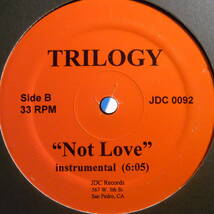 Trilogy - Not Love_画像2