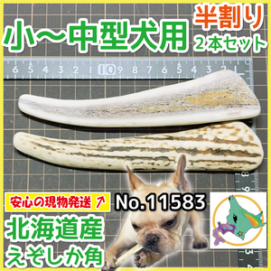 鹿の角 犬 現物発送 ■ 小～中型犬用 ■ 天然 北海道産 蝦夷鹿の角 ■ 半割り 2本セット ■ 犬のおもちゃ ■ 無添加 エゾシカ ツノ 11583