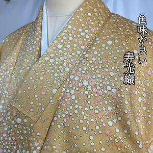 【wellriver】総柄小紋 寿光織 色味が良い 正絹 着物 和服 和装 #B025！