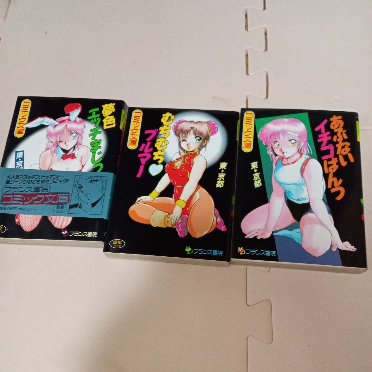 ヤフオク! -「フランス書院コミック文庫」の落札相場・落札価格