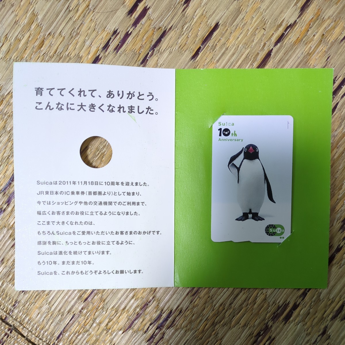 Yahoo!オークション -「10周年記念suica」(プリペイドカード) の落札