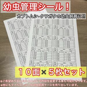 【即日or翌日発送】幼虫管理ラベルシール 5枚セット カブトムシ クワガタの飼育管理に最適！