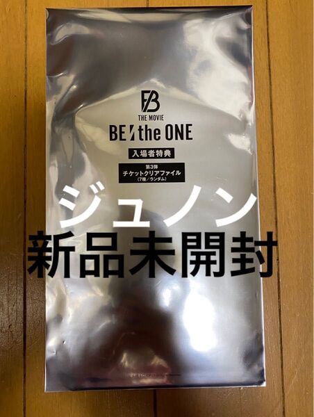 befirst BEtheONE 入場者特典 チケットクリアファイル