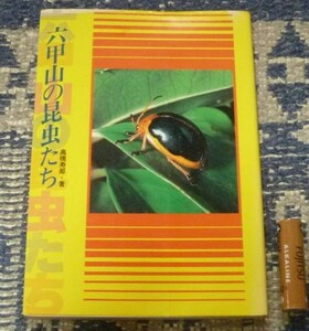 六甲山の昆虫たち　のじぎく文庫　高橋寿郎　昆虫 六甲山