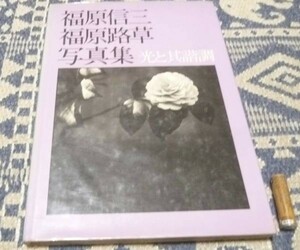 福原信三 福原路草 写真集 光と其諧調