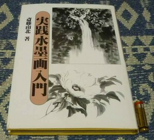 Art hand Auction Introducción práctica a la pintura con tinta por Saito Nanboku Ink Painting, arte, Entretenimiento, Cuadro, Libro de técnicas