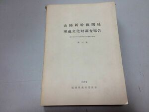 ●K214●山陽新幹線関係埋蔵文化財調査報告●第12集●春日市大字上白水所在辻田遺跡の調査●福岡県教育委員会●1979年●即決