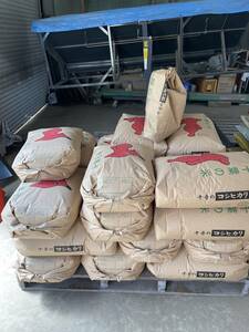 令和5年度 新米 数量限定 コシヒカリ 農家直送 玄米30kg 千葉県産 チーバくん 精米要相談(