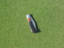 芝生の種・最高級ベントグラス 007 ダブルオーセブン 250g×2(芝)_画像4