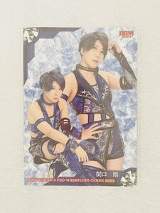 ☆ BBM2023 女子プロレスカード レギュラーカード 現役選手 064 関口翔 ☆