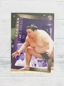 ☆ BBM2020 大相撲カード レギュラーカード 03 豪栄道豪太郎 大関 ☆